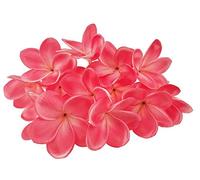Lot de 10 tiges de fleurs de frangipanier artificielles en latex pour bouquet de fleurs de mariée, décoration, fête