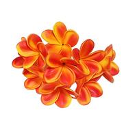 Lot de 10 tiges de fleurs de frangipanier artificielles en latex pour bouquet de fleurs de mariée, décoration, fête