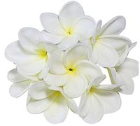 Lot de 10 tiges de fleurs de frangipanier artificielles en latex pour bouquet de fleurs de mariée, décoration, fête