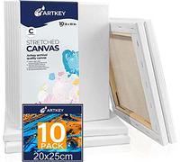 Lot de 10 toiles tendues pour peinture, 20 x 25 cm, 300 g/m², triple apprêt, sans acide, 100% coton, toile encadrée, toiles vierges pour acrylique, versement à l'huile et peinture aquarelle
