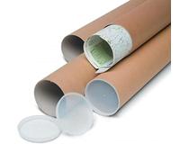 Lot de 10 tubes en carton résistants pour expédition avec bouchons en plastique 35 x 7 cm Dessins de feuilles d'affiches Impressions A4 A3