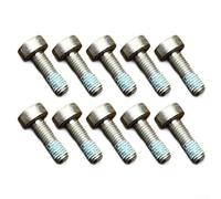 Lot de 10 vis de silencieux compatibles avec tronçonneuses Stihl-FS240, FS260 FS360 FS460, FS490 FS560 et MS193 MS194 MS201 MS231 MS241 MS251