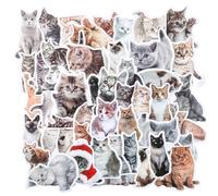 Lot de 100 autocollants en forme de chaton pour bouteilles d'eau, autocollants Kawaii sur le thème des chats, chaton mignon, animal mignon pour journal, ordinateur portable, téléphone, bagages