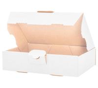 Lot de 100 boîtes de courrier maxi, dimensions : 180 x 130 x 45 mm