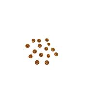 Lot de 100 capuchons pour vis Torx - Cache-vis Torx en plastique dans différentes tailles (chêne RAL 1011, TX 25)