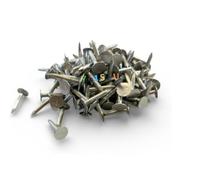 Lot de 100 clous en feutre galvanisés à tête extra large pour toit d'abri de jardin - Punaises en feutre pour bois extérieur et sécurisation de toiture d'abri de jardin (15 mm)