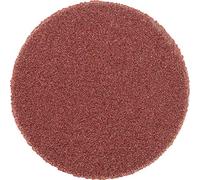 Lot de 100 disques abrasifs autocollants pour cheval PSA 20 A 320 | Article : 42832132