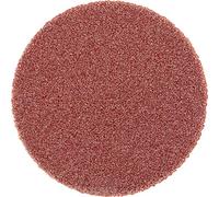 Lot de 100 disques abrasifs autocollants pour chevaux PSA 20 A 240 : 42832124