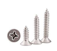 Lot de 100 mini vis à bois autotaraudeuses à tête fraisée cruciforme en acier inoxydable 304 M1 M1.2 M1.4 M1.7 M2 M2.6(8mm)
