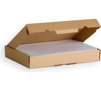 Lot de 1000 boîtes postales extra-plates a4 format 305x220x45 mm