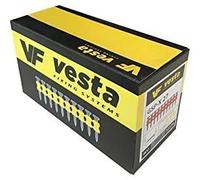 Lot de 1000 clous Vesta GSS + 2 cartouches gaz Pulsa700/Pulsa800 (clous Spit) (C6 30 mm, Pulsa 800)
