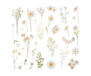 Lot de 12 autocollants fleurs décoratives en film transparent - Aspect vintage - Étanche - Accessoire de bricolage pour albums, emballage cadeau, lettrage à la main