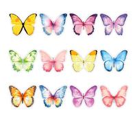 Lot de 12 blocs de notes autocollantes en forme de papillon à l'aquarelle, bloc-notes pour enfants, étudiants, fournitures scolaires, fournitures de bureau, papeterie, cadeau