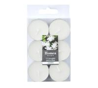 Lot de 12 Bougies Chauffe-Plat Essentiel 3,5cm Jasmin