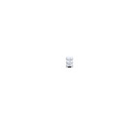 Lot de 12 boules EDM - esprit de Noël - Blanc - 72012 Blanc G