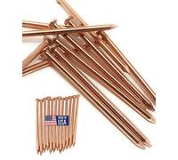 Lot de 12 clous en cuivre de 10,2 cm de long, tuent les souches d'arbres et les racines