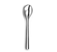 Lot de 12 cuillères Amefa Ecologic Slim Dessert Métal Acier (12 unités)