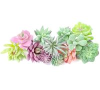 Lot de 12 plantes succulentes artificielles pour décoration d'intérieur | Petites plantes grasses artificielles floquées en PVC non pot, 2,5 à 7,6 cm avec piques. Pour le bricolage, les fêtes