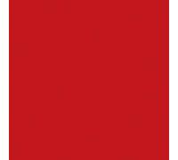 Lot de 12 serviettes - DUNI - Jetable - Dunisoft bio - 4 plis - 40x40cm - Rouge