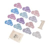 Lot de 14 cartes de repère en acrylique pour nouveau-né en forme de dessin animé pour capturer la croissance mensuelle de bébé Unisexe en forme de papillon