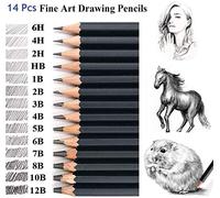 Lot de 14 crayons à dessin Malayas, crayons graphite 12B, 10B, 8B, 7B, 6B, 5B, 4B, 3B, 2B, B, HB, 2H, 4H, 6H pour enfants, adultes, artistes, étudiants, débutants, professionnels
