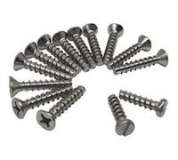 Lot de 14 vis face avant pour skimmer de piscine SP1082, SP1084 et SP1085 - 32 mm - SPX1084Z4AM - Hayward Gris G