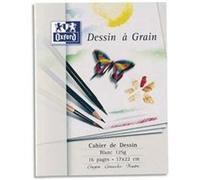 Lot de 15 Cahiers de dessin piqûre, 16 pages unies et blanches, Format 17 x 22 cm. Couverture carte G