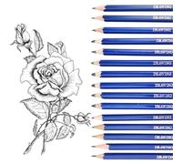 Lot de 15 crayons à dessin - 14B 12B 10B 8B 6B 5B 4B 3B 2B B HB H 2H 3H 4H - Crayons à dessin - Créations artistiques - Pour adultes débutants et professionnels