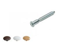 Lot de 16 vis d'assemblage avec cache acier chromé, l.50 mm