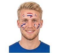 lot de 17 tatouages bleu blanc rouge france
