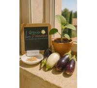 Lot de 170 graines à semer - Le Grenier d'Abondance - Fan d'Aubergines - 4 variétés