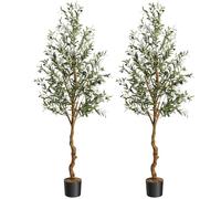 Lot de 2 180cm Grande Olivier Artificielle Réalistes,Arbre Artificiel Intérieur avec olives,Branche & Feuillage,sans Entretien,Fausse Plante/Plante Artificielle Décorative pour Salon,Bureau,Balcon
