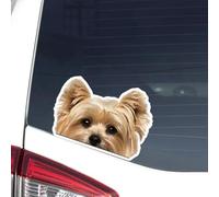 Lot de 2 autocollants de voiture Yorkshire Terrier Chien Vinyle 15 x 11 cm, Glamour Jouet Chien Autocollant pour voiture, ordinateur portable, valise, décor animal de compagnie de luxe | # DK156