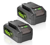 Lot de 2 batteries 24V 4Ah pour outils Greenworks 24V