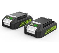 Lot de 2 batteries de 24 V et 3,5 Ah pour les appareils Greenworks G24B2/G24B4