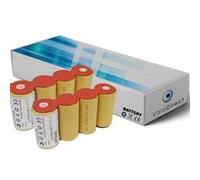 Lot de 2 batteries pour Karcher k85 4.8V 2000mAh Balai électrique - Visiodirect - G