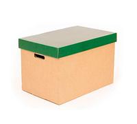 Lot de 2 boîtes de rangement avec couvercle vert - Boîtes de déménagement et de rangement en carton avec poignées - Très robustes - 53,2 x 33,1 x 32,5 cm (L x l x H)
