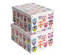 Lot de 2 boîtes de rangement en carton, avec couvercle, pour ranger, boîtes cadeau, 39x50x24 cm CHOUETTES, Hiboux