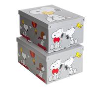 Lot de 2 boîtes de rangement en carton, avec couvercle, pour ranger, boîtes cadeau, 39x50x24 cm SNOOPY