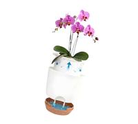 Lot de 2 bols de fleurs transparents pour intérieur et extérieur avec construction double couche et base surélevée pour racines, récipient à fleurs double couche respirant, agriculteur intérieur et