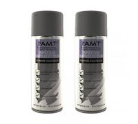 Lot De 2 Bombes De Peinture - Spécial Surfaces Difficiles - Gris - Amt