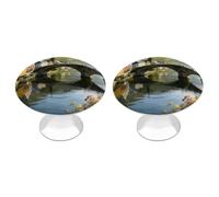 Lot de 2 boutons d'armoire ronds en acier inoxydable avec lumière du matin sur le pont en pierre pour commode, placard, porte de placard