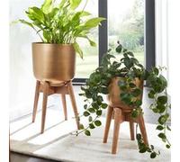 Lot de 2 cache-pot ronds 31 et 25 cm en aluminium doré et manguier G