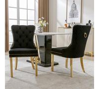 Lot de 2 chaises de salle à manger noires : chaises rembourrées modernes en velours avec anneaux ronds et clous décoratifs ; chaises de cuisine élégantes avec pieds en acier inoxydable doré