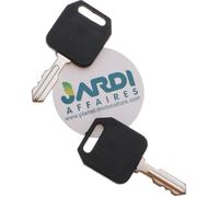 Lot de 2 clés de contact universelle adaptable pour autoportée AYP