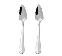 Lot de 2 cuillères à pamplemousse, cuillères pointues, cuillères à kiwi, cuillères en acier inoxydable, cuillères à dessert, spatule, cuillère dentelée, cuillère à fruits (argenté)