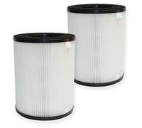 Lot de 2 filtres de remplacement HEPA pour la tour de purification d'air HoMedics TotalClean AP-T20