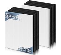 Lot de 2 filtres HEPA C545 de rechange S pour purificateur d'air Winix C545, pièce de rechange 1712-0096-00 et 2522-0058-00, lot de 2 filtres HEPA + 8 préfiltres à charbon actif
