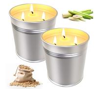 Lot de 2 grandes bougies à la citronnelle pour l'extérieur, en cire de soja naturelle, sûres et durables, bougies parfumées à la citronnelle, pour jardin, camping, pique-nique, durée de combustion