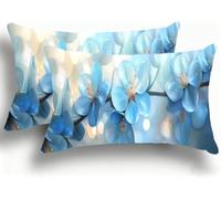 Lot de 2 Housse de Coussin 25x50 cm en Velours Beau, Oreiller Decoratif, Housse Coussin Canapé, Fleur Doux Taies D'oreiller Décoratives, avec Fermeture éclair Invisible pour Lit Chambre Salon W0VJ-735